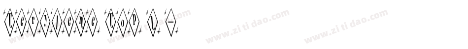Terylene Top(1)字体转换
